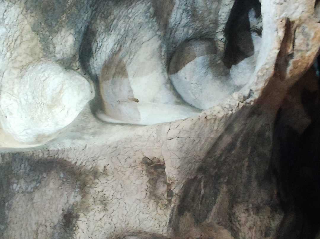 Grotta di Santa Croce-比谢列必去景点