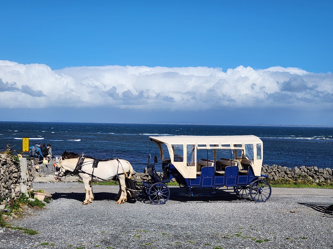 Thomas Faherty Tours-Inishmore必去景点