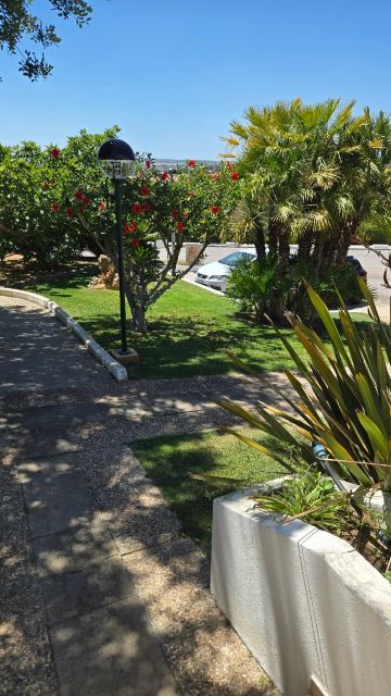 巴克蒙特维德酒店-旅行者