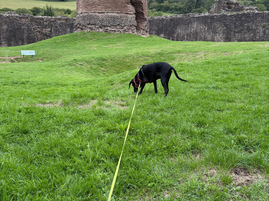 Skenfrith Castle-Skenfrith必去景点
