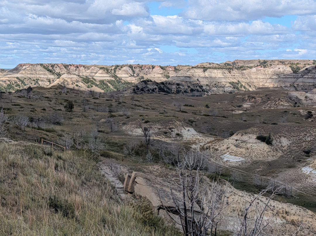 Theodore Roosevelt National Park-Medora必去景点