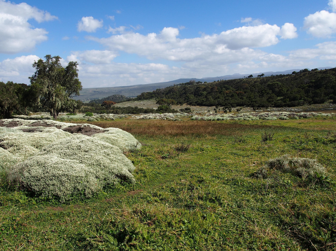 Bale Mountains Trekking Tours Ethiopia-Bale Robe必去景点