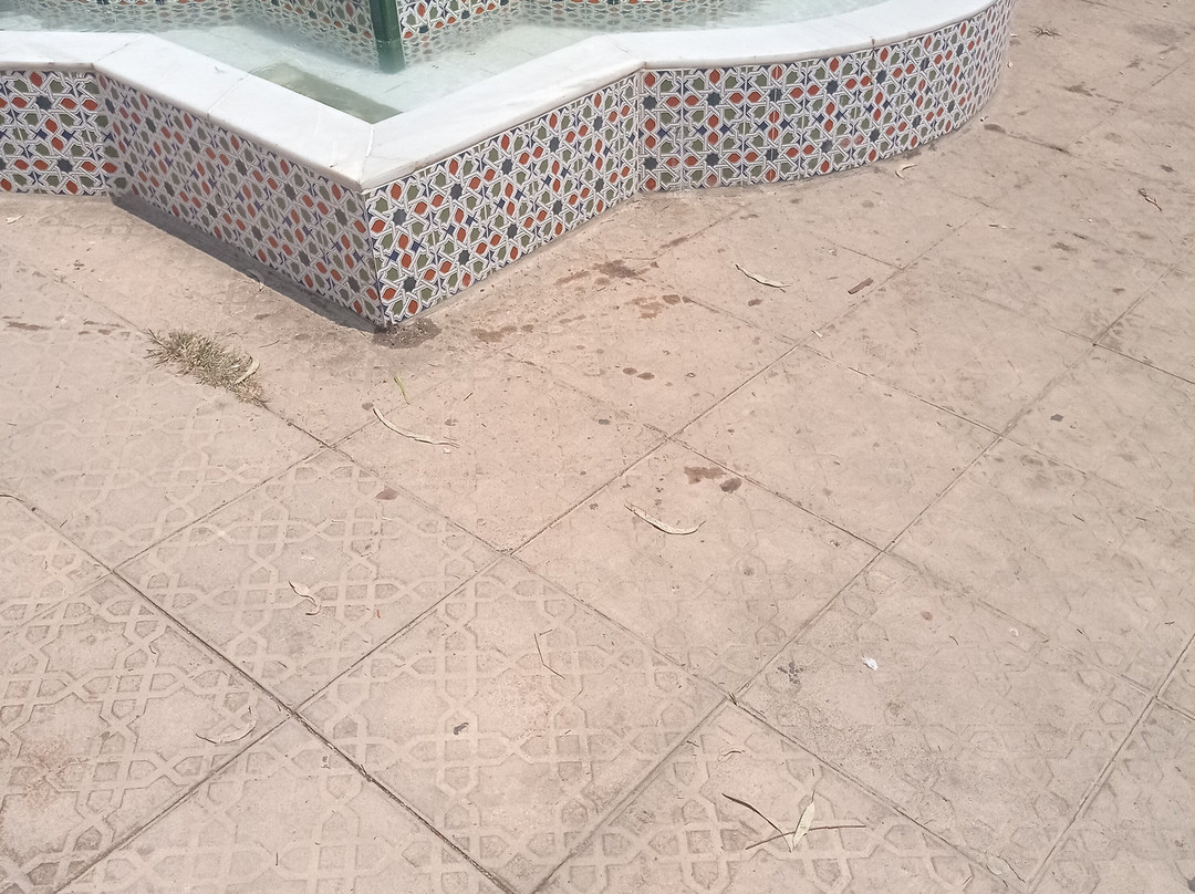 Parque de la Constitución-马贝拉必去景点