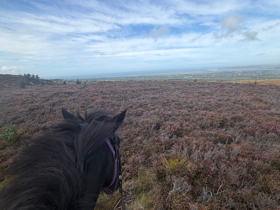 Snowdonia Riding Stables-卡那封必去景点