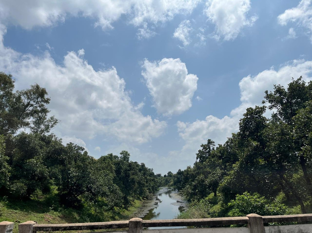 Ken Gharial Sanctuary-Chhatarpur必去景点