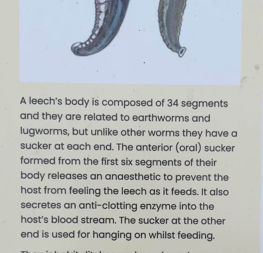 The Leech House-Bedale必去景点