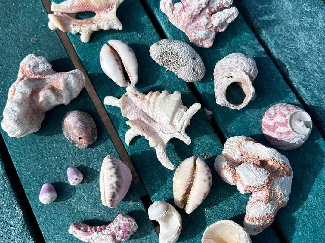 德索宾豪华别墅主图