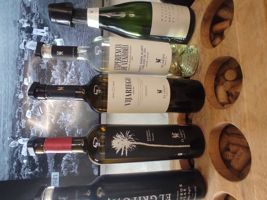 El Grifo - Museo del Vino-San Bartolome必去景点