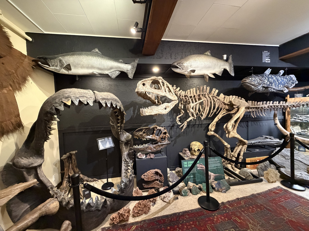 Hand of Man - Museum of Natural History, Cultural Arts & Conservation-邓肯必去景点
