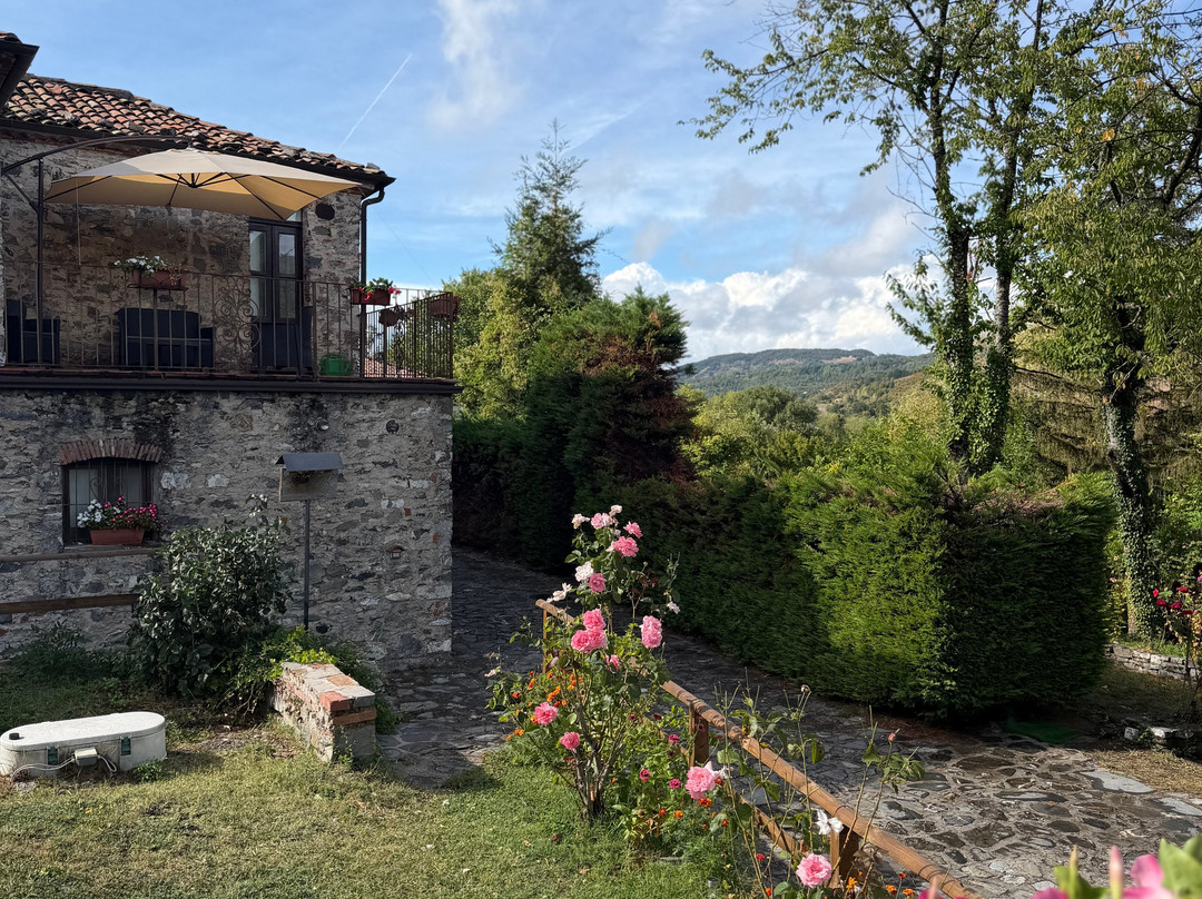 Residenza delle Rose主图