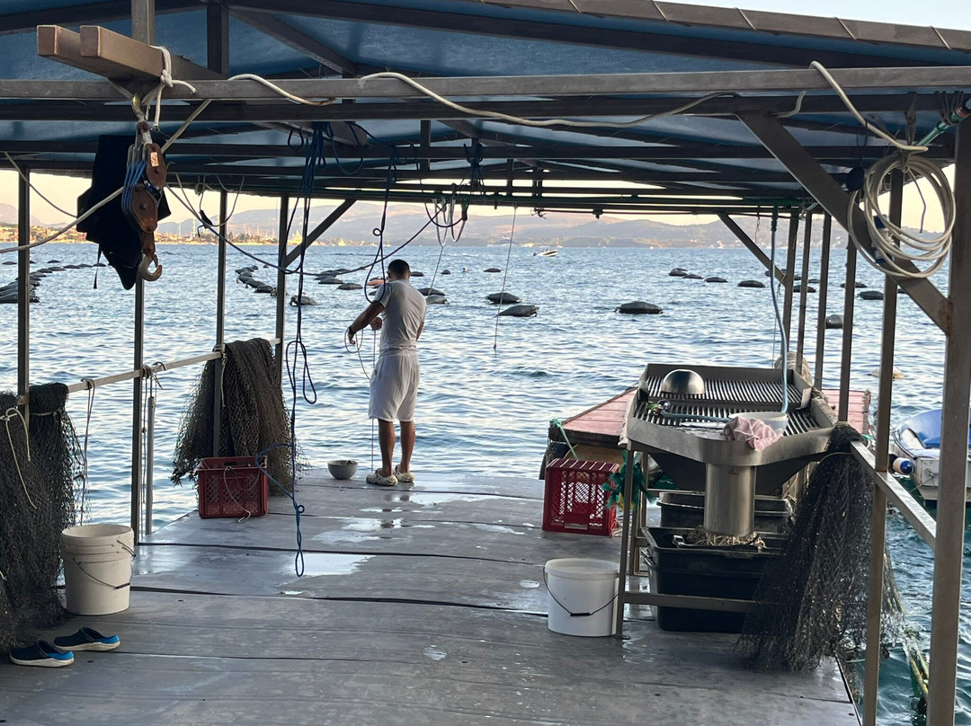 Mussel And Oyster Farm-科托尔必去景点