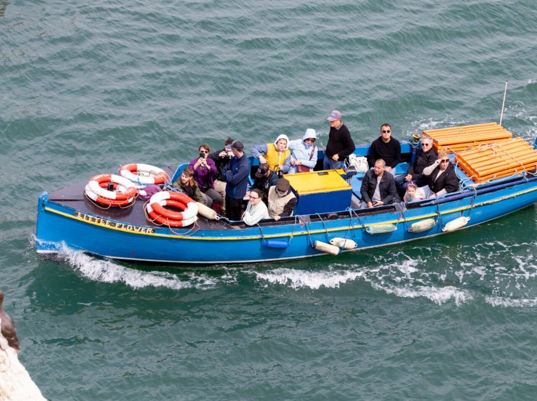 Howth Cliff Cruises-霍斯必去景点
