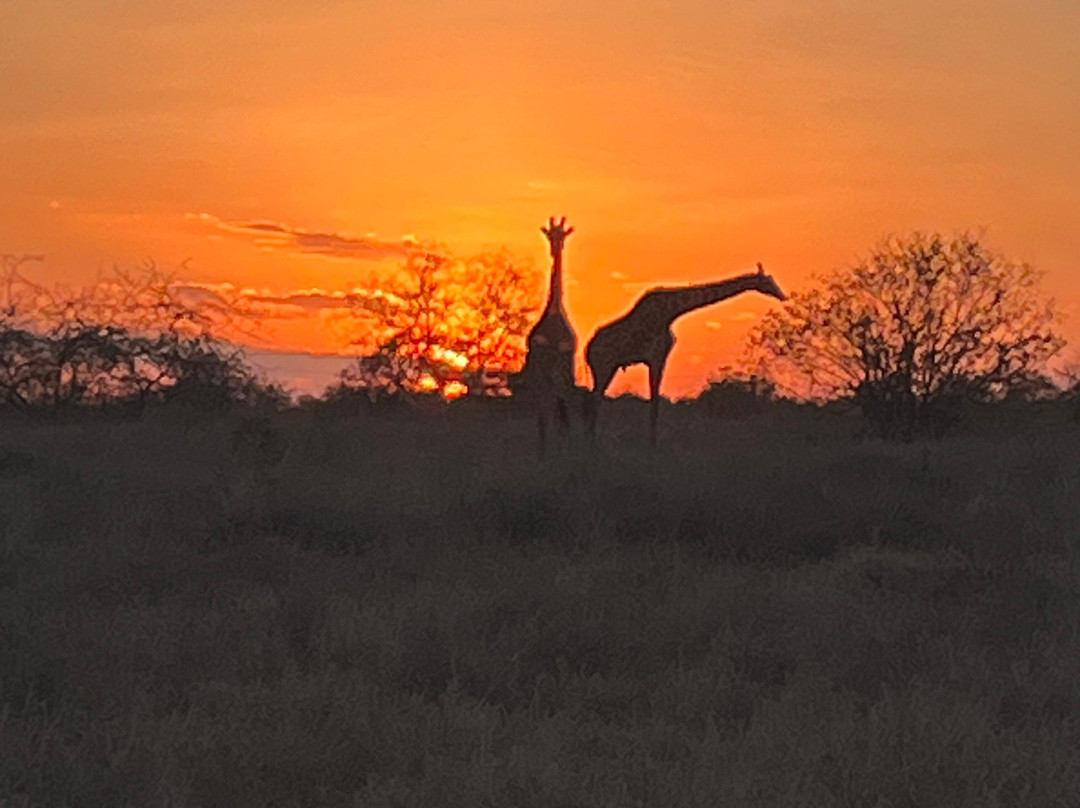 Brighte Maasai Adventures-Mara North Conservancy必去景点