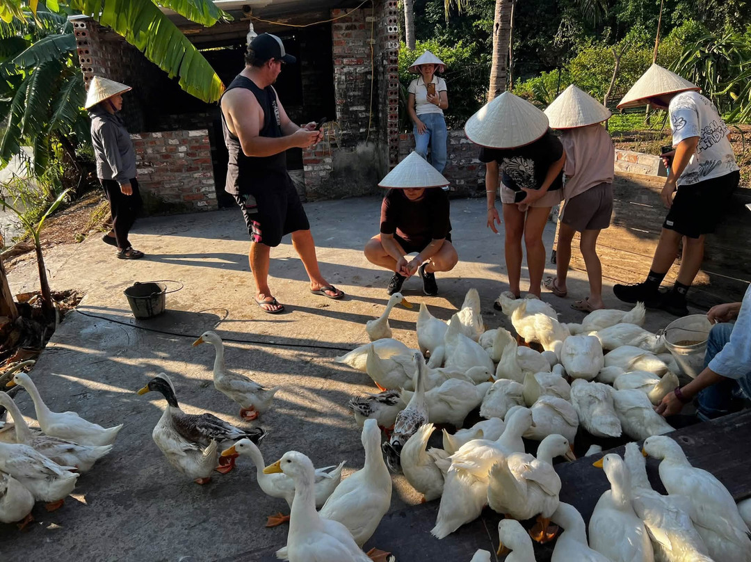 Cat Co Beach-Cat Ba Town必去景点