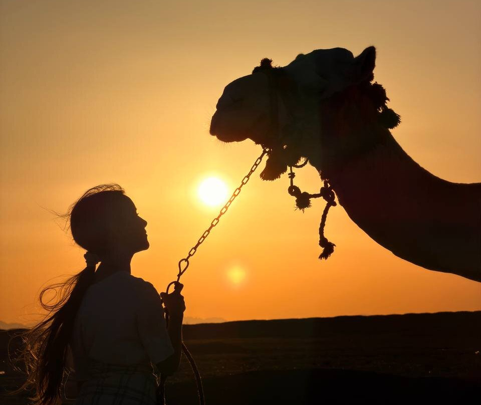 Horse Trips Iryna-赫尔格达必去景点