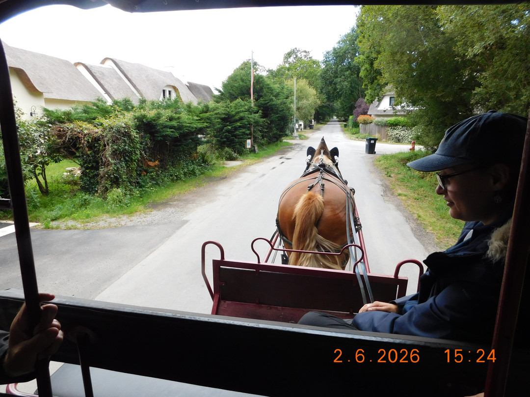 Les Calèches Briéronnes