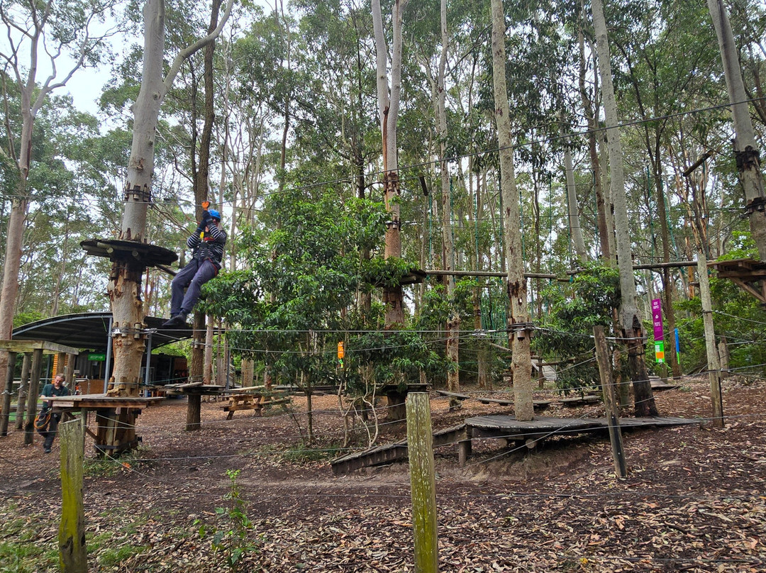 TreeTops Newcastle-纽卡斯尔必去景点