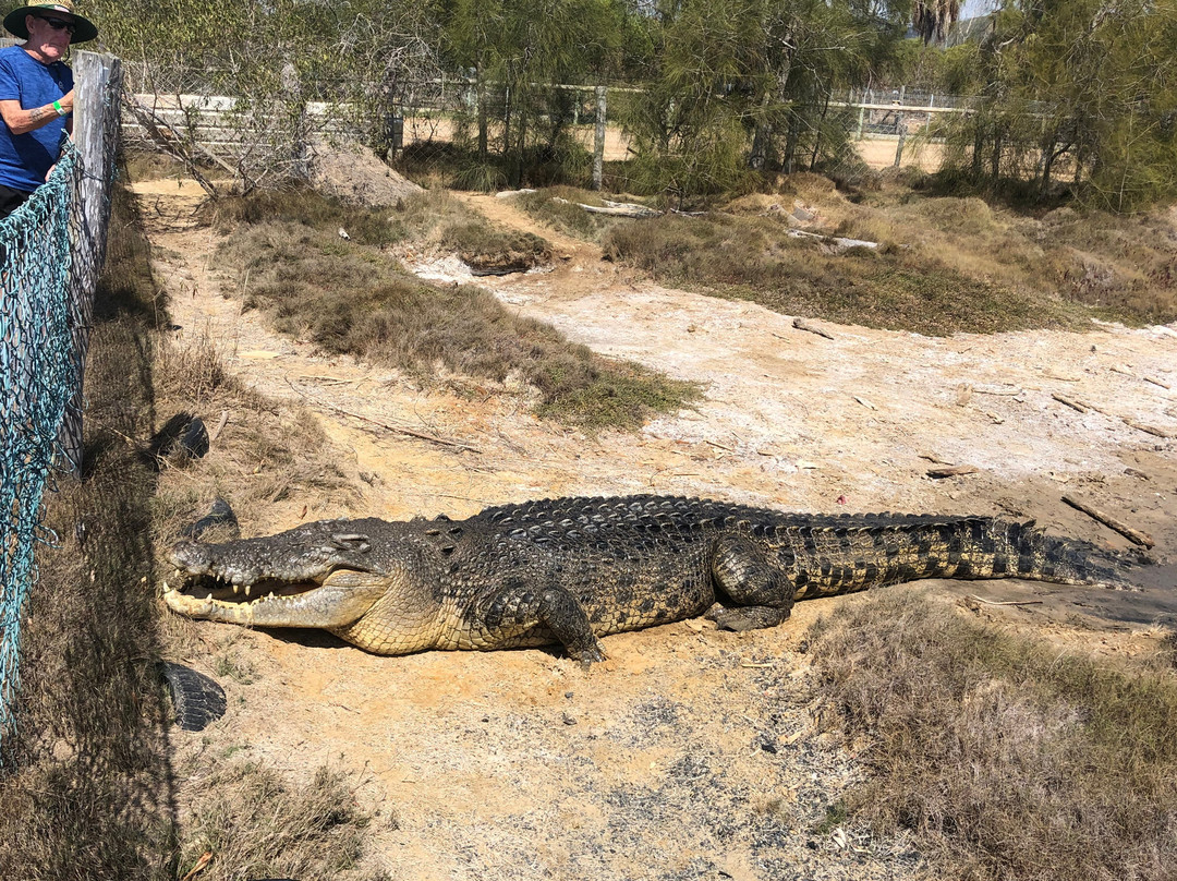 Koorana Crocodile Farm-Coowonga必去景点