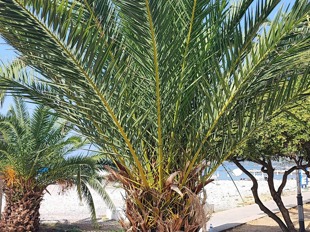 Bar Beach-Bar必去景点