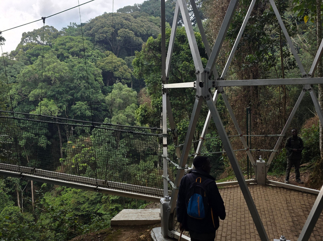 Nyungwe Canopy Walk-Butare必去景点