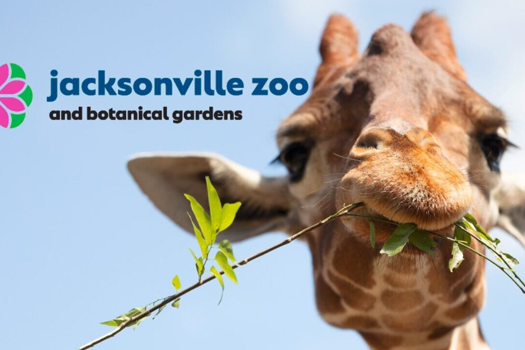 Jacksonville Zoo & Gardens-杰克逊维尔必去景点