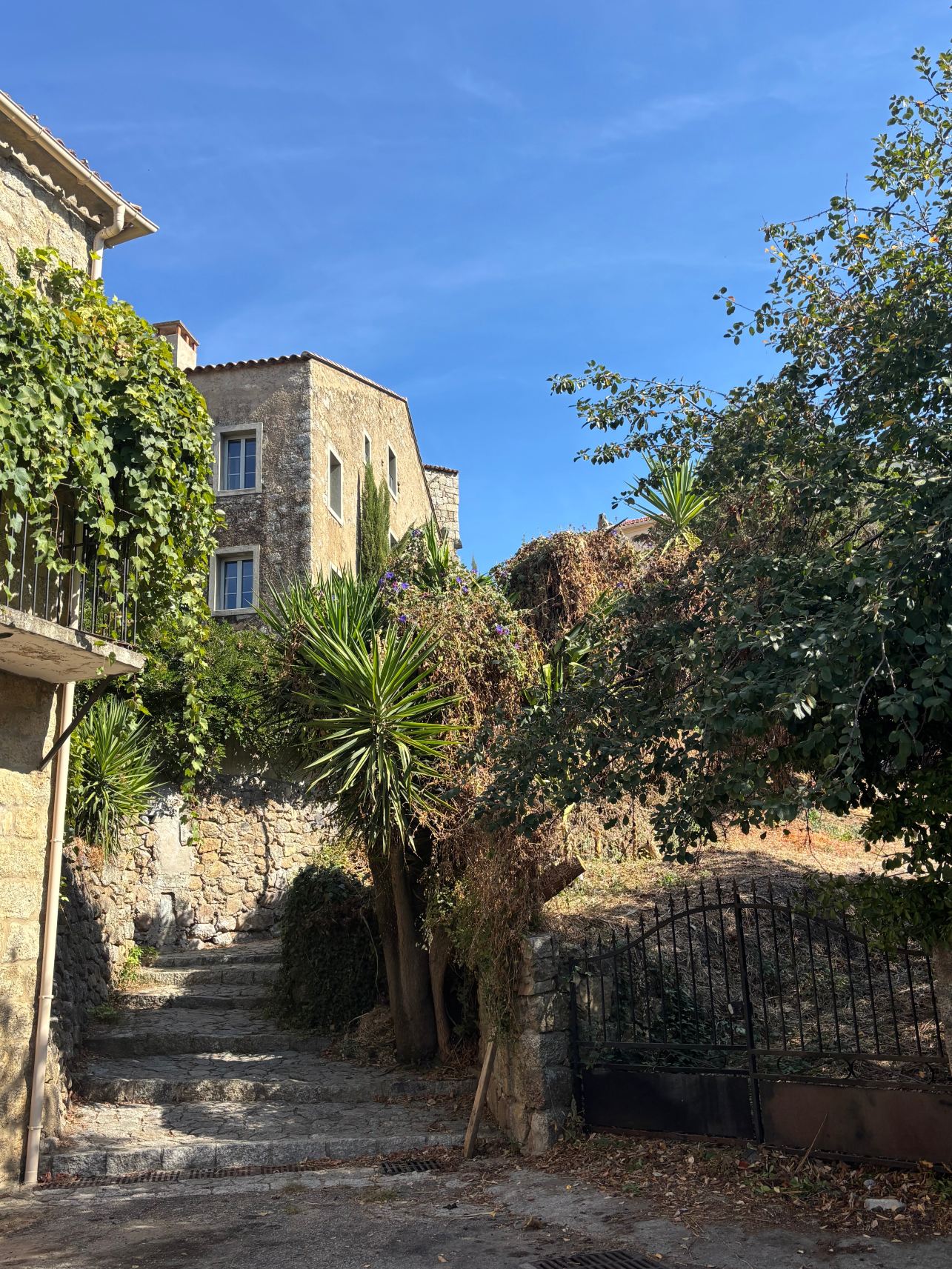 Maison Madamicella-旅行者