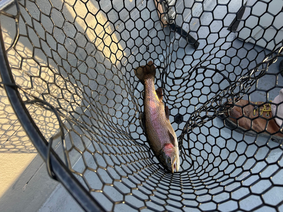 Papa Bill's White River Trout Guide Service-Bull Shoals必去景点