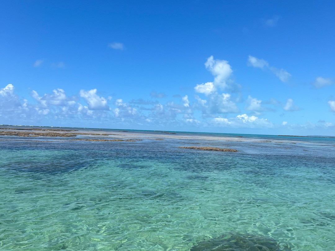 Piscinas Naturais de Barra Grande-Barra Grande必去景点