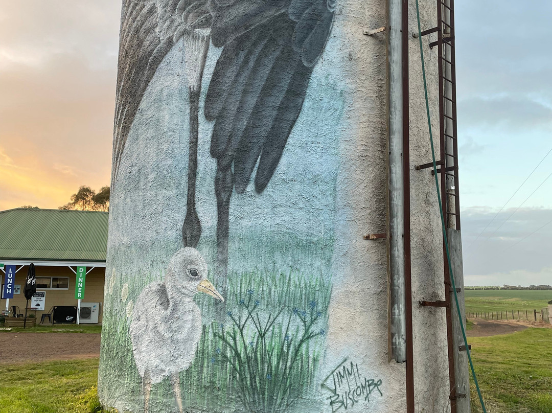 Lismore Water Tower Art-Lismore必去景点