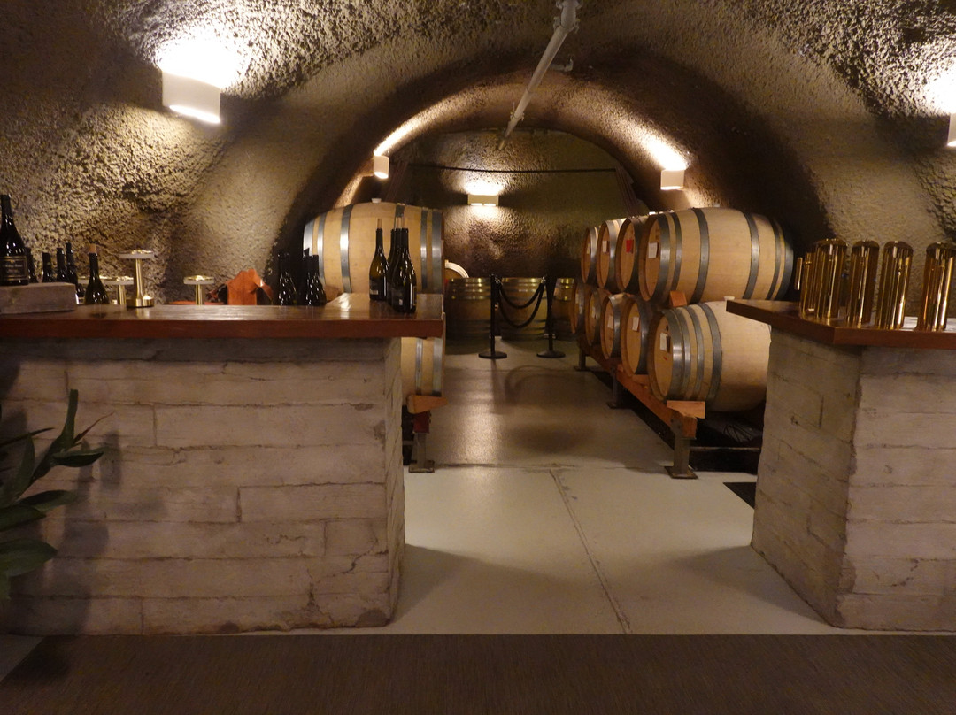 Archery Summit Winery-Dayton必去景点