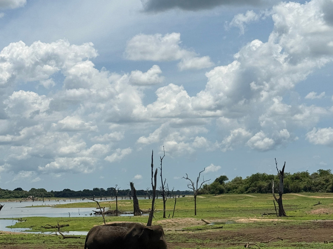 Lanka Classy Tours-凯拉尼亚必去景点