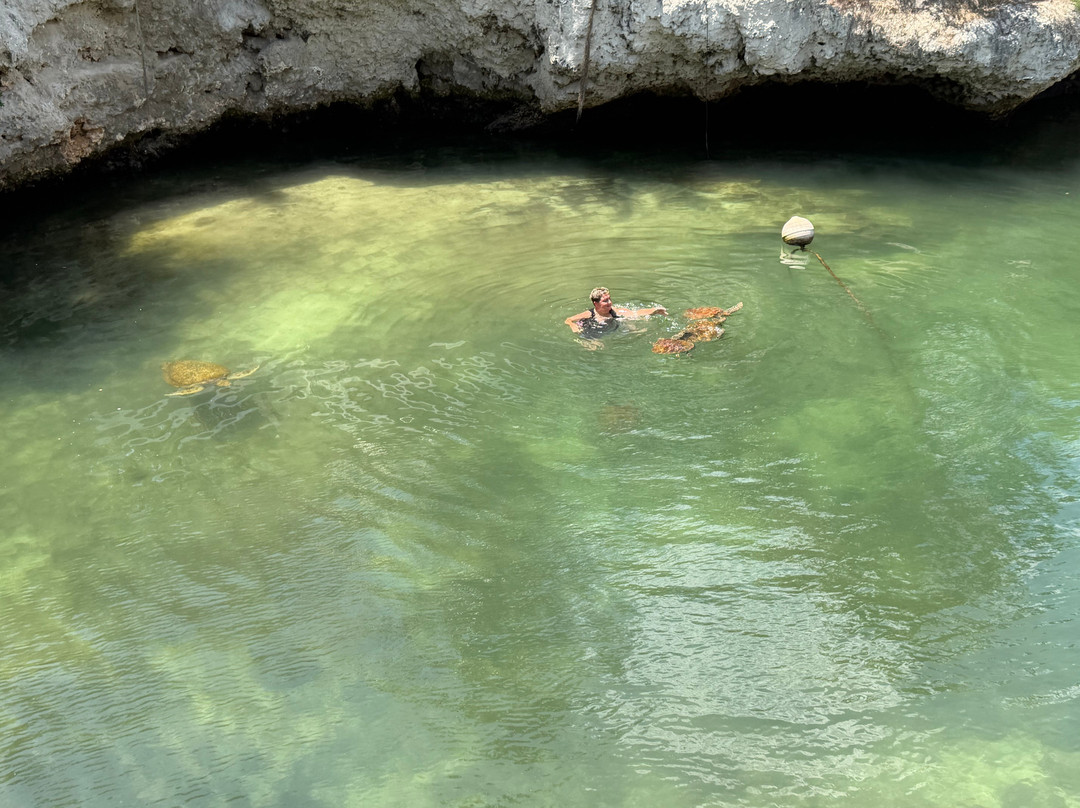 Mnarani Marine Turtles Conservation Pond-孥归必去景点