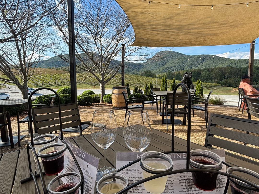 Yonah Mountain Vineyards-Cleveland必去景点