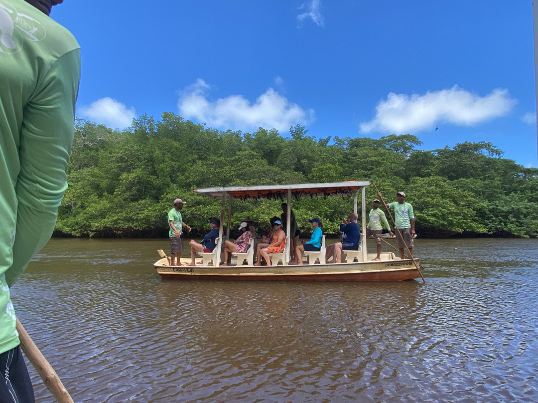Associacao Peixe-Boi-Porto de Pedras必去景点