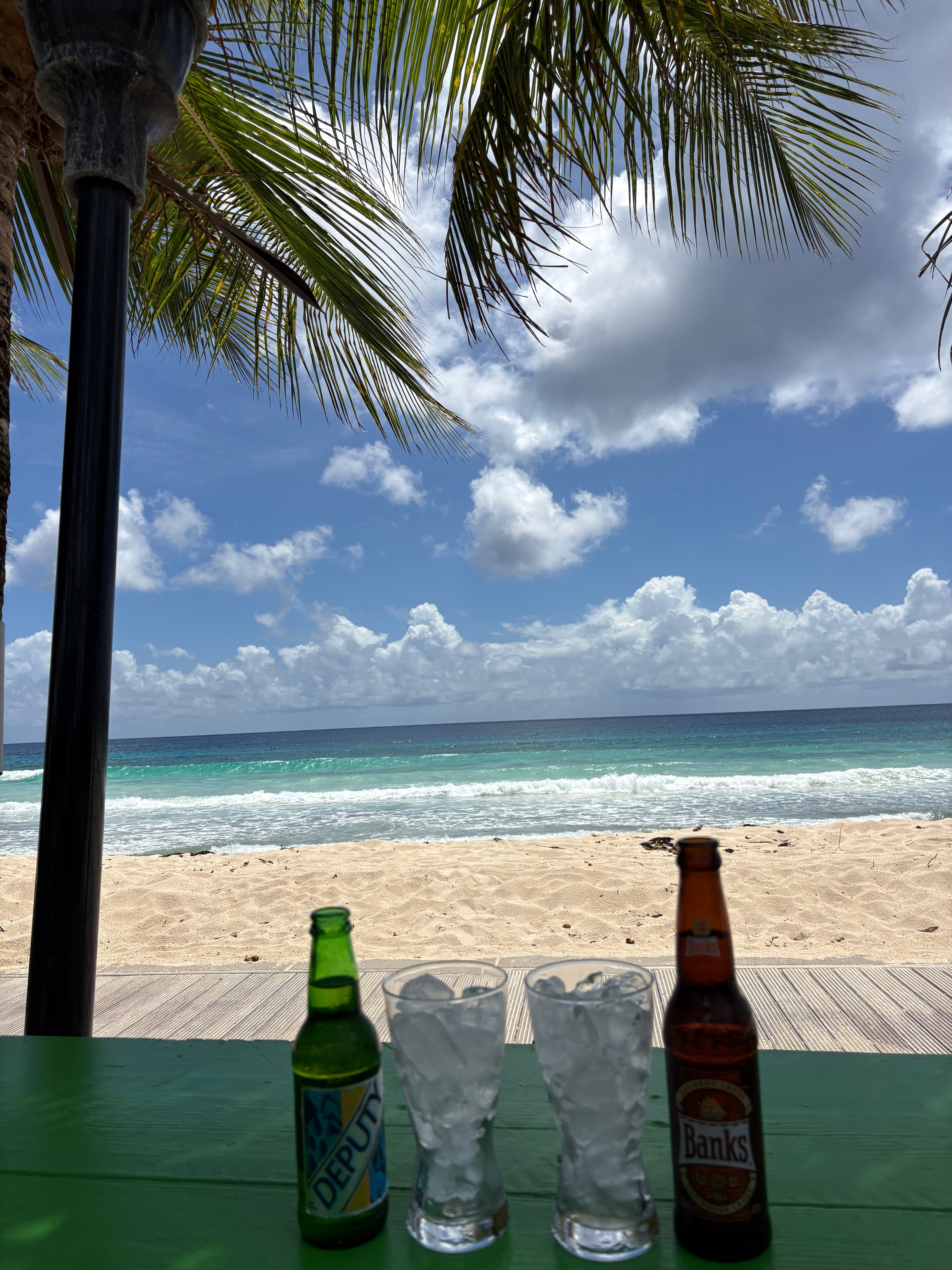椰子园海滩酒店-旅行者