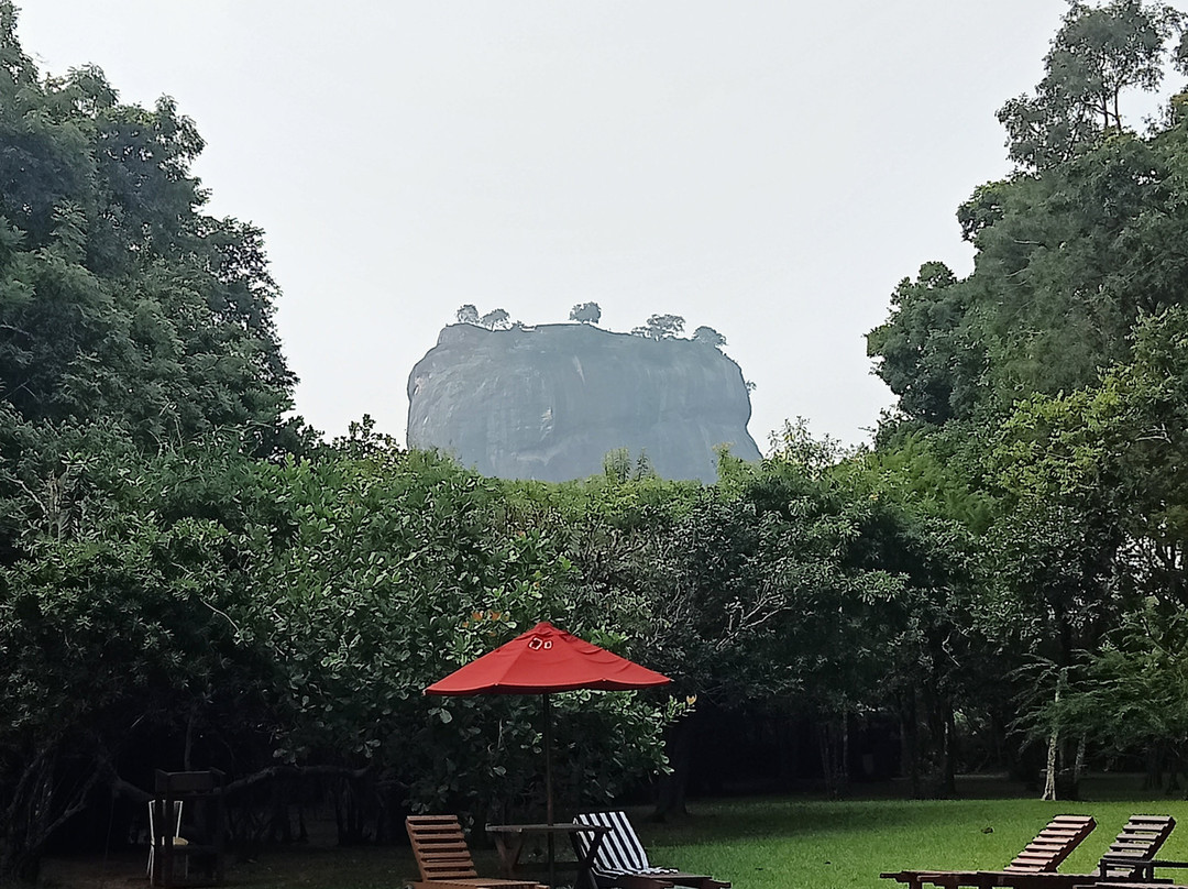 狮岩庭院主图