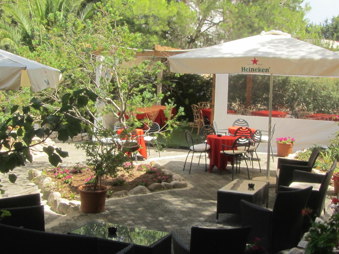 San Domino酒店住宿-Hotel Le Viole