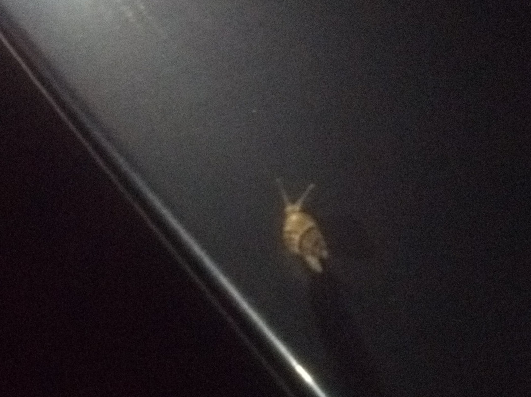 Harborview Motel & Efficiencies