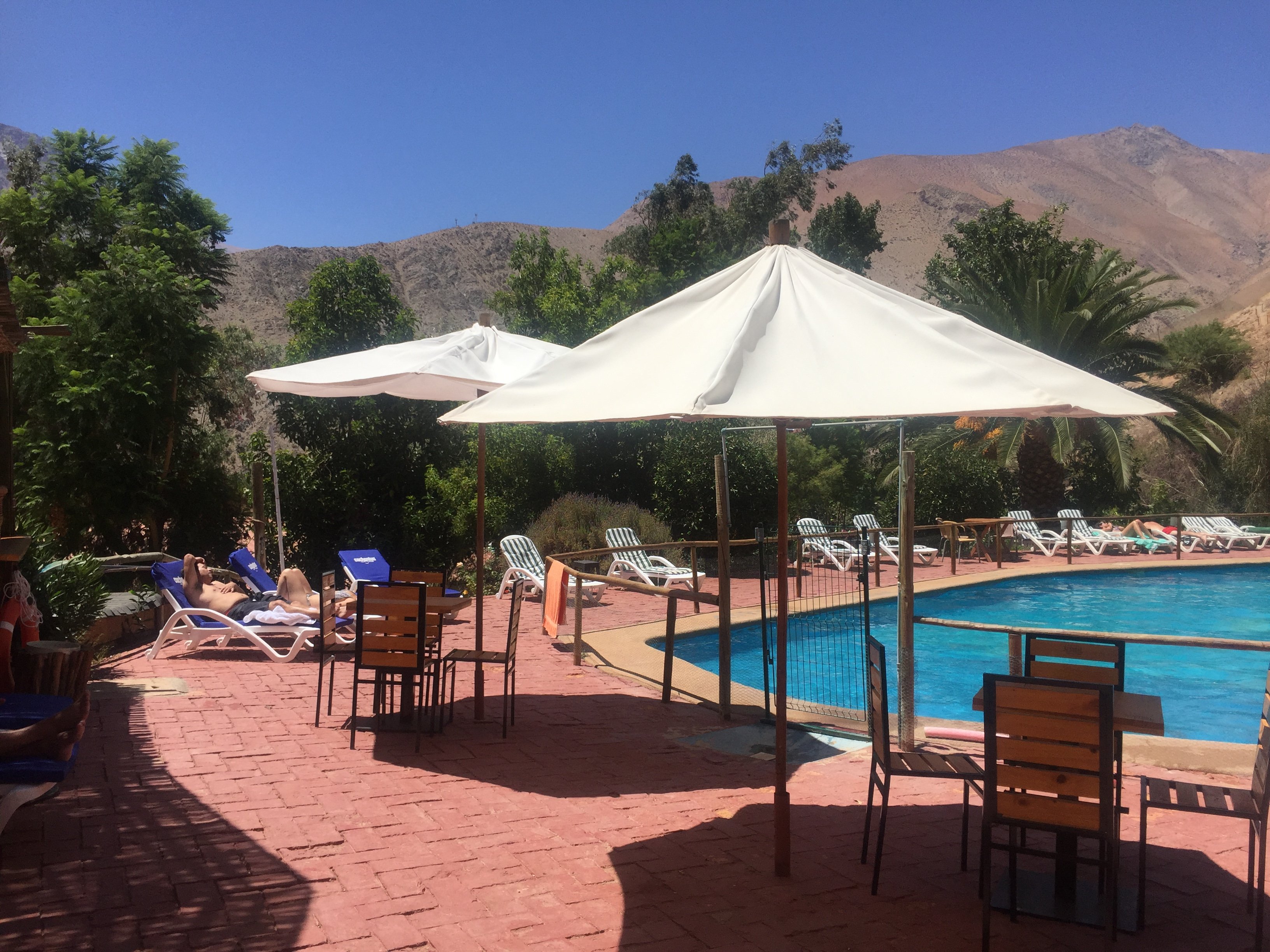 El Galpon Pisco Elqui-官方