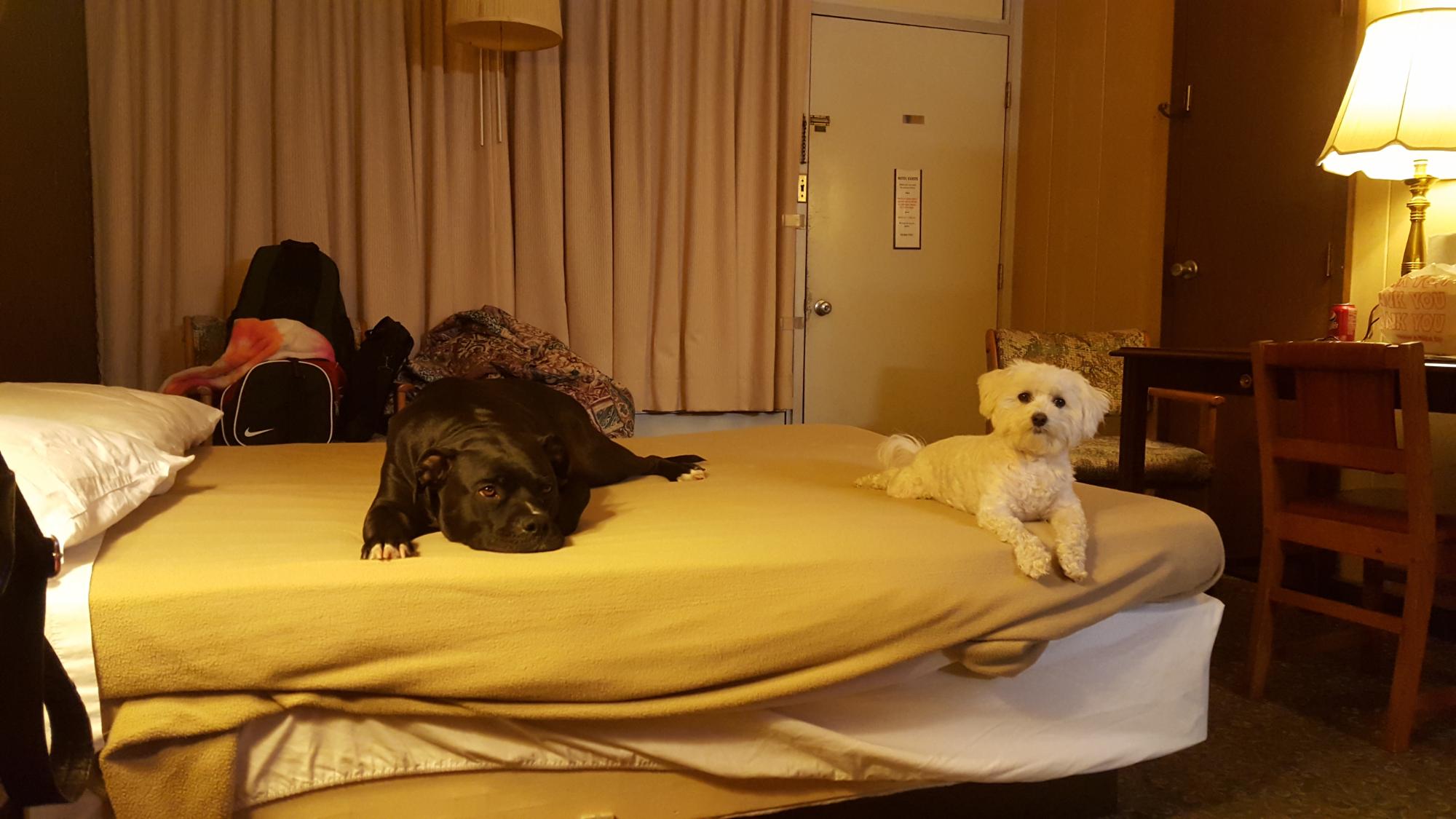 Country Inn Motel and Cafe-官方
