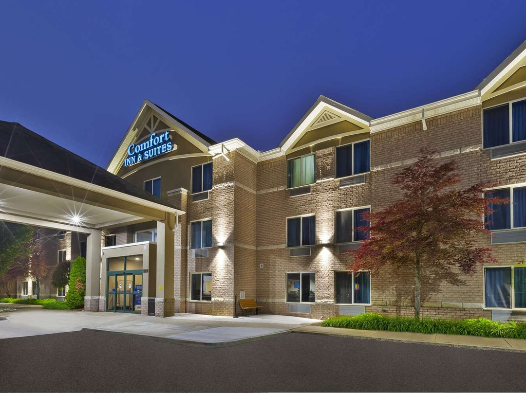 Comfort Inn & Suites主图