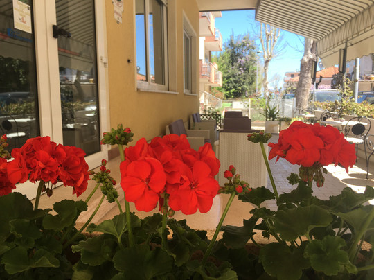 Albergo Villa Rinaldini