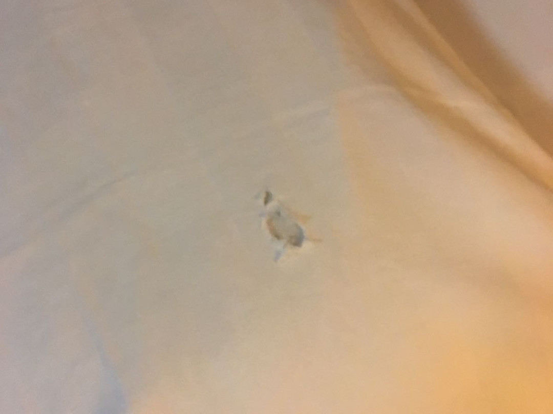 体育之家大酒店主图