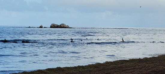 Palmas del Mar Beach-Humacao必去景点