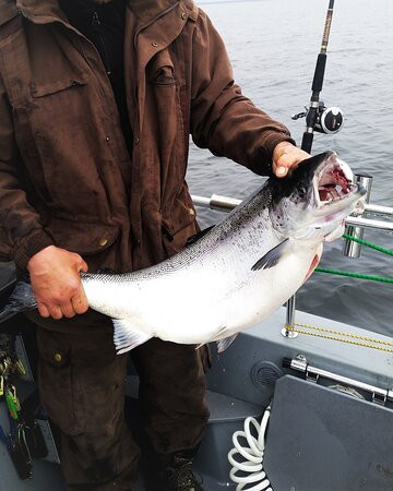 SeaFox Himanka-Himanka必去景点