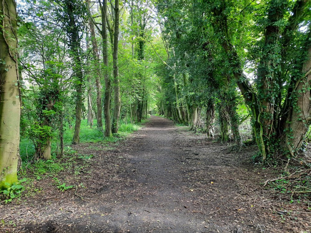Lavenham To Long Melford Rail Walk景点图片