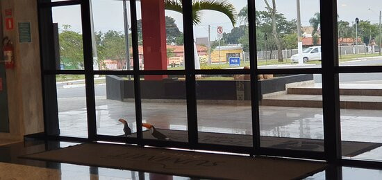 Summit Suítes Hotel Caçapava主图