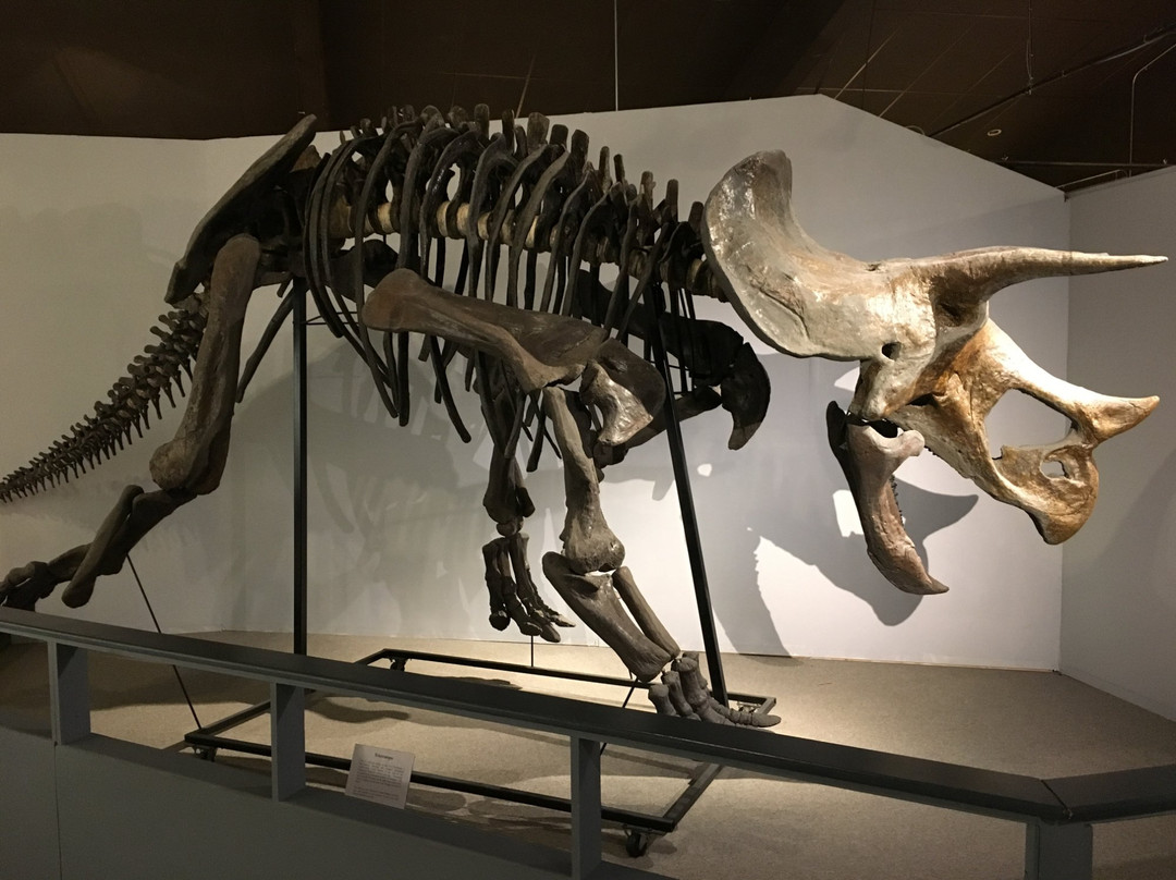 Hettinger旅游景点-Pioneer Trails Regional Museum