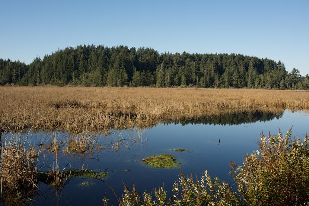 Brian Booth State Park景点图片