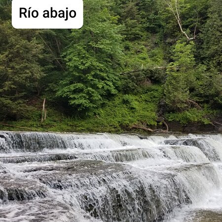 Wintergreen Park And Falls-Canajoharie必去景点